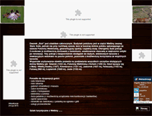 Tablet Screenshot of pensjonatroh.pl